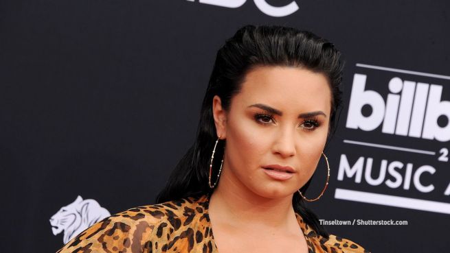 go to Demi Lovato: Geburtstag in der Drogenklinik